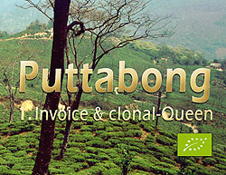 Bioteegarten Puttabong