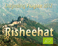 Risheehat