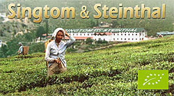 Singtom+Steinthal
